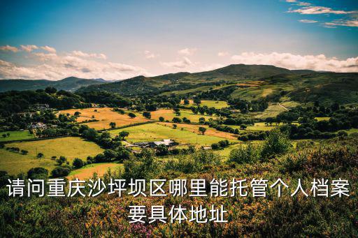 請問重慶沙坪壩區哪里能托管個人檔案要具體地址