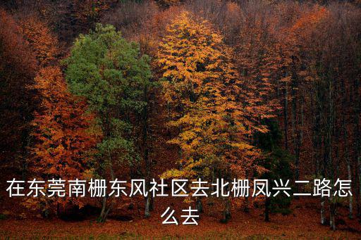 在東莞南柵東風(fēng)社區(qū)去北柵鳳興二路怎么去