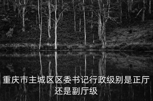 重慶市主城區區委書記行政級別是正廳還是副廳級