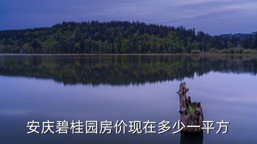 安慶碧桂園房價(jià)現(xiàn)在多少一平方