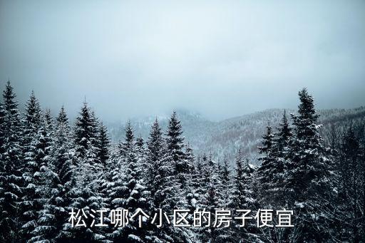 松江哪個(gè)小區(qū)的房子便宜