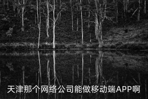 天津那個(gè)網(wǎng)絡(luò)公司能做移動(dòng)端APP啊