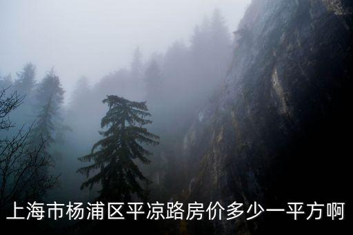 上海市楊浦區平涼路房價多少一平方啊