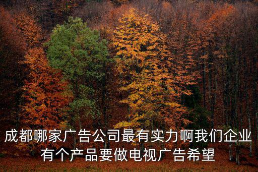 成都哪家廣告公司最有實力啊我們企業(yè)有個產(chǎn)品要做電視廣告希望