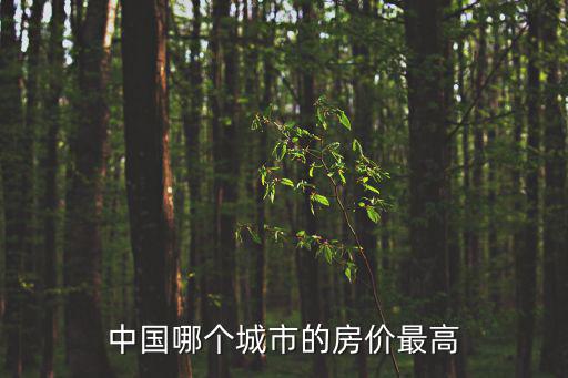 中國哪個(gè)城市的房價(jià)最高