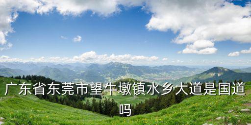 廣東省東莞市望牛墩鎮(zhèn)水鄉(xiāng)大道是國道嗎