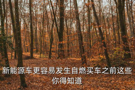 新能源車更容易發(fā)生自燃買車之前這些你得知道