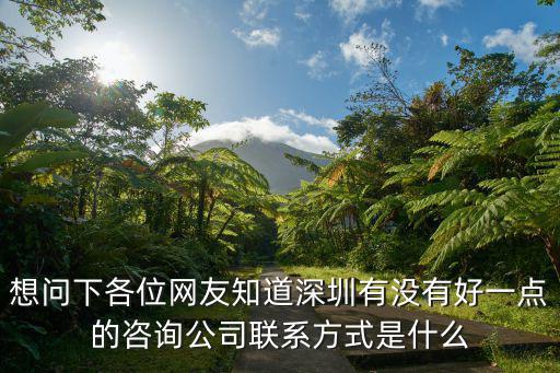 想問下各位網友知道深圳有沒有好一點的咨詢公司聯系方式是什么
