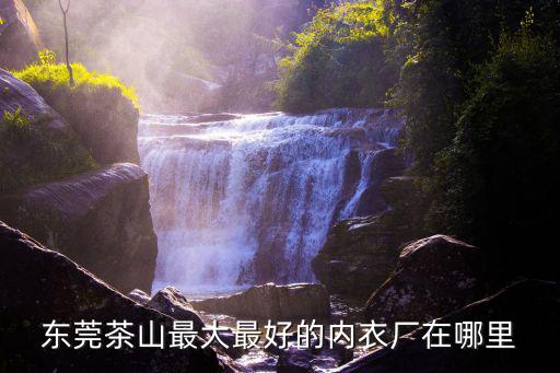 東莞茶山大型大型企業，東莞有那些大型的知名的制衣廠