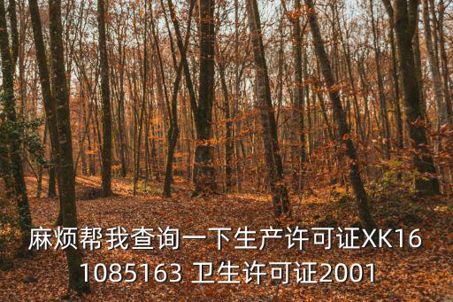 麻煩幫我查詢一下生產許可證XK161085163 衛生許可證2001