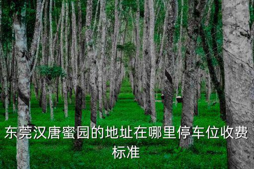 東莞漢唐蜜園的地址在哪里停車位收費(fèi)標(biāo)準(zhǔn)