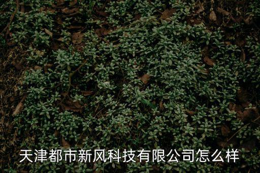 天津都市新風(fēng)科技有限公司怎么樣