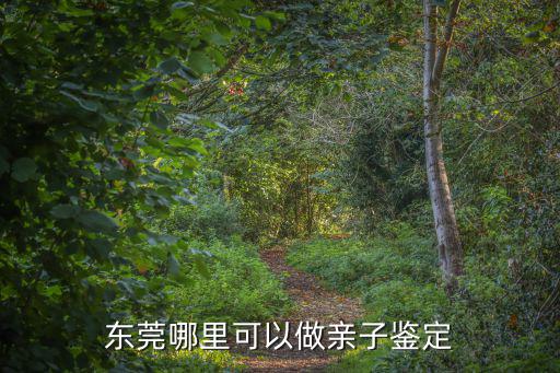 東莞哪里可以做親子鑒定