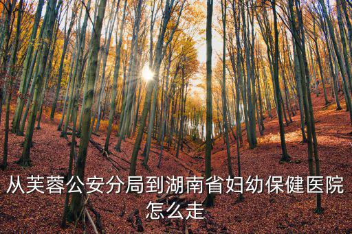 成都市芙蓉小區(qū)到省醫(yī)院，坐地鐵2號(hào)在芙蓉廣場(chǎng)下應(yīng)從哪個(gè)區(qū)間出去離省人民醫(yī)院最近  搜