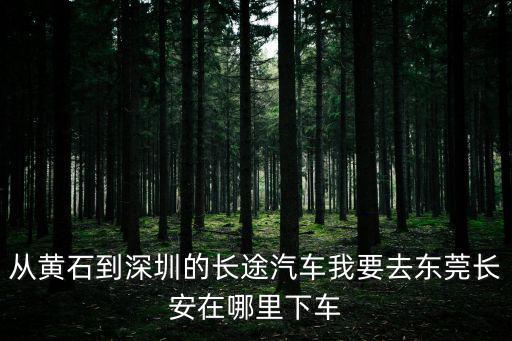 黃石去東莞順風(fēng)車，東莞那里能坐到直達湖北黃石的長途班