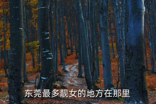 東莞最多靚女的地方在那里