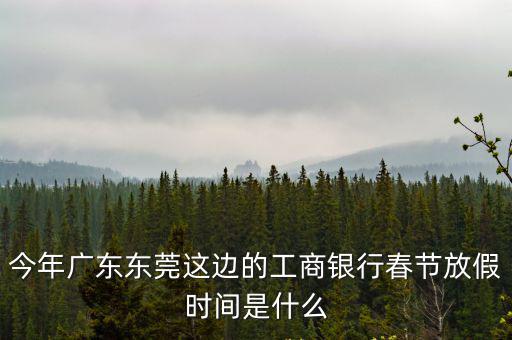 今年廣東東莞這邊的工商銀行春節(jié)放假時間是什么