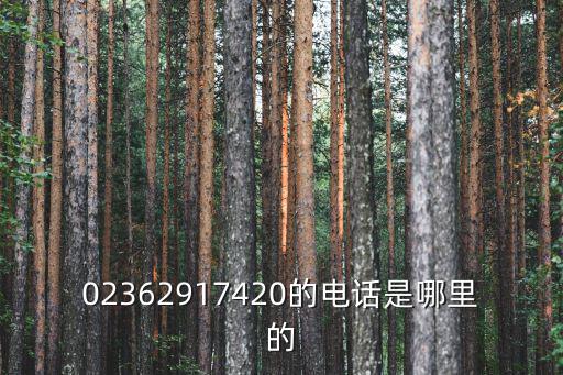 重慶市彈子石富力現(xiàn)代廣場(chǎng)物管電話，02362917420的電話是哪里的