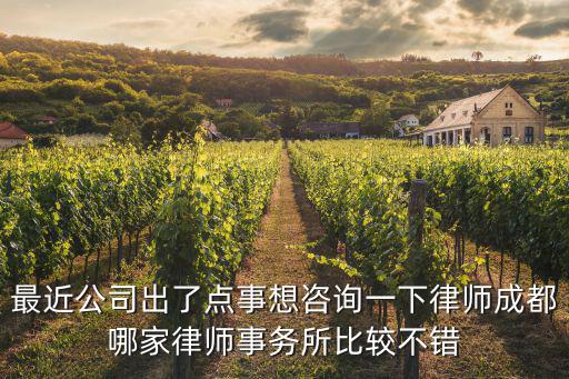 最近公司出了點事想咨詢一下律師成都哪家律師事務所比較不錯