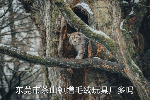 東莞市茶山鎮(zhèn)增毛絨玩具廠多嗎