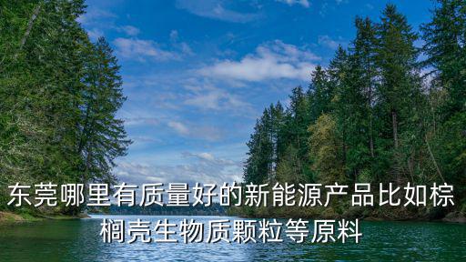 東莞哪里有質(zhì)量好的新能源產(chǎn)品比如棕櫚殼生物質(zhì)顆粒等原料