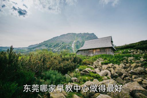 東莞哪家早教中心做得最好