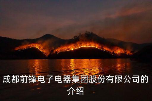 成都市前鋒電子電器有限公司，成都前鋒電子電器集團股份有限公司的介紹