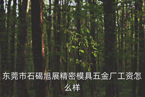 東莞市樟木頭金邦塑膠五金制品廠，東莞哪里有文員職位工作謝崗樟木頭地區