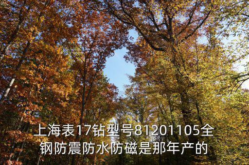 上海表17鉆型號81201105全鋼防震防水防磁是那年產(chǎn)的