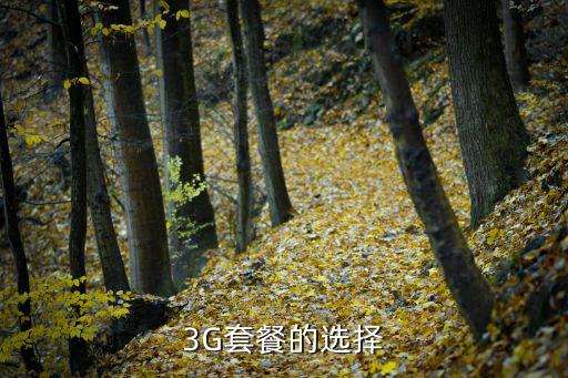 3G套餐的選擇
