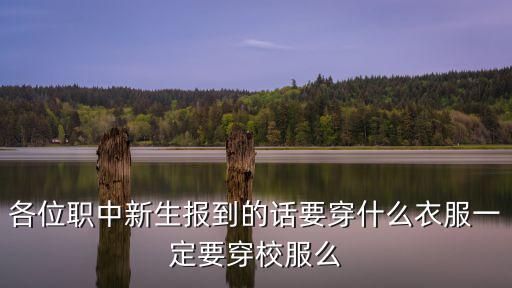 天津市職中校服，職業(yè)中專校服上的標(biāo)志有什么含義
