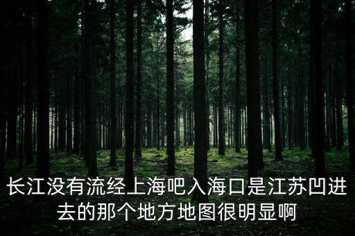 長江經過上海市嗎，長江沒有流經上海吧入海口是江蘇凹進去的那個地方地圖很明顯啊