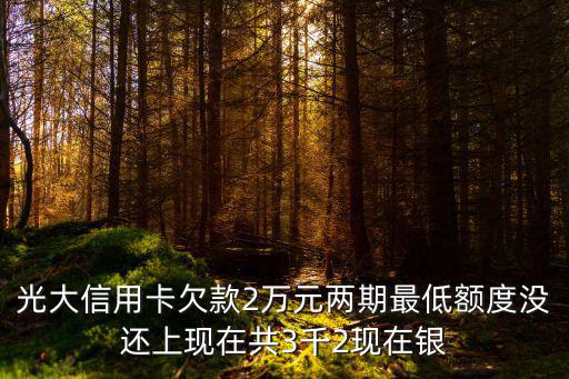 光大信用卡欠款2萬元兩期最低額度沒還上現(xiàn)在共3千2現(xiàn)在銀