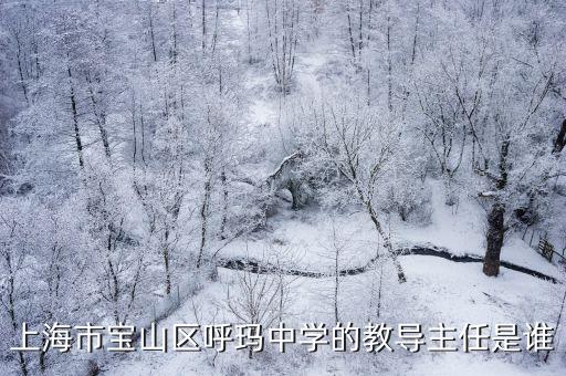上海市寶山區(qū)呼瑪中學(xué)的教導(dǎo)主任是誰