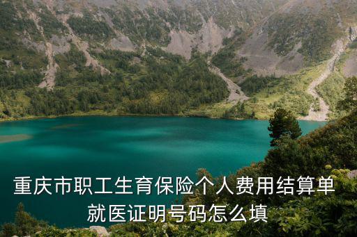 重慶市職工生育保險個人費用結算單 就醫證明號碼怎么填