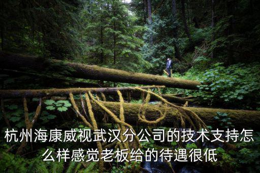 杭州?？低曃錆h分公司的技術(shù)支持怎么樣感覺(jué)老板給的待遇很低