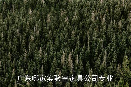 廣東哪家實驗室家具公司專業