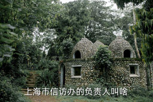 上海市信訪辦的負責人叫啥