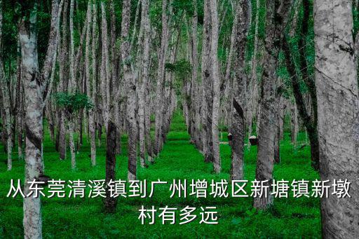從東莞清溪鎮到廣州增城區新塘鎮新墩村有多遠