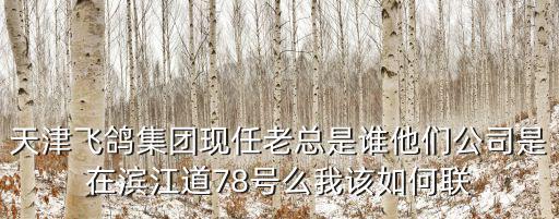天津飛鴿集團現任老總是誰他們公司是在濱江道78號么我該如何聯