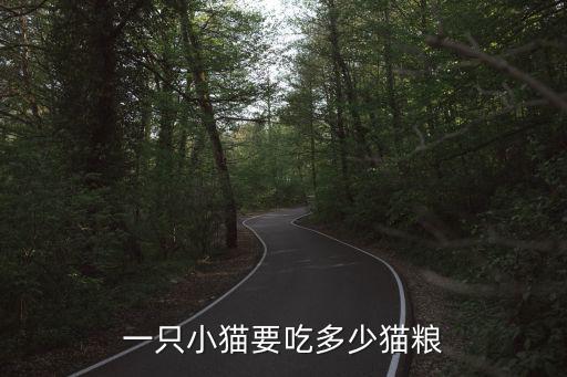 一只小貓要吃多少貓糧