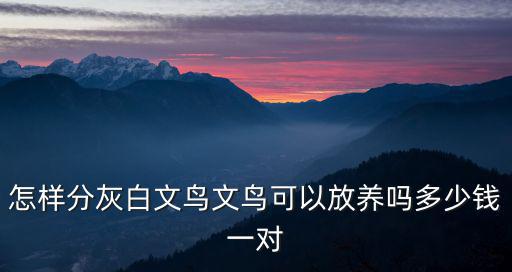 怎樣分灰白文鳥文鳥可以放養嗎多少錢一對