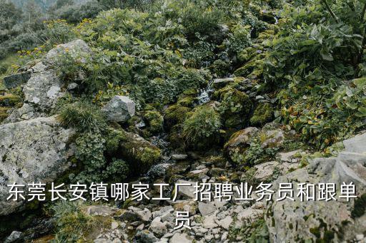 東莞長安鎮哪家工廠招聘業務員和跟單員