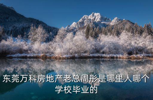 東莞萬科房地產老總周彤是哪里人哪個學校畢業的