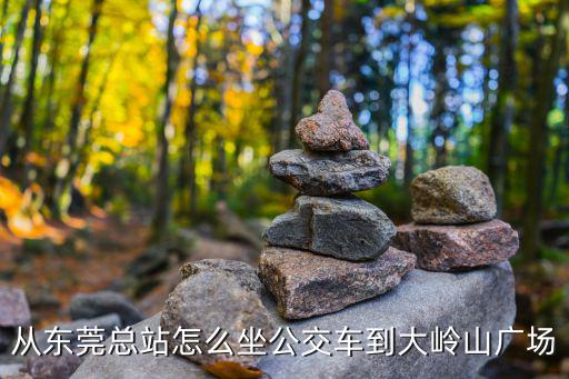 從東莞總站怎么坐公交車到大嶺山廣場