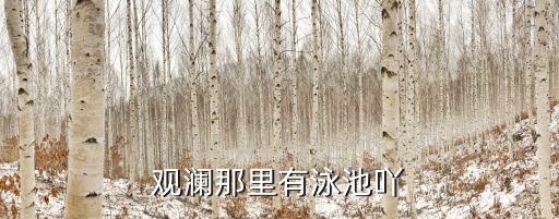 觀瀾那里有泳池吖