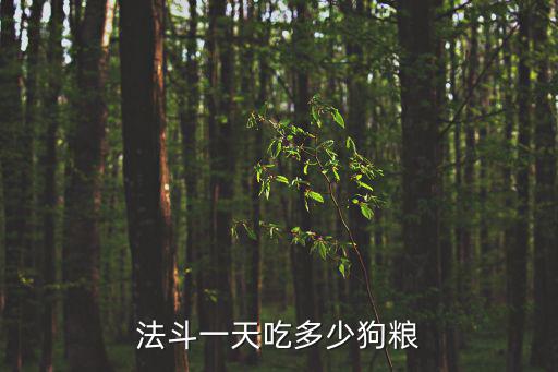法斗一天吃多少狗糧