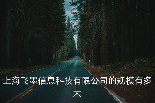 上海飛墨信息科技有限公司的規模有多大