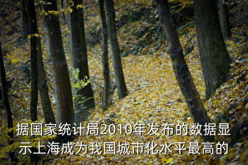 據國家統計局2010年發布的數據顯示上海成為我國城市化水平最高的