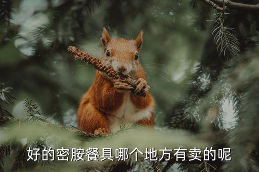 好的密胺餐具哪個地方有賣的呢